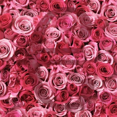 10 Consejos para vender más rosas en Sant Jordi